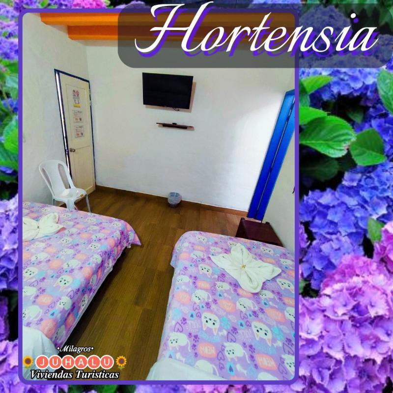 Hotel ᒍᑌᕼᗩᒪᑌ Jericoc  Pokój zdjęcie